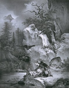 Vautour avec cerf mort