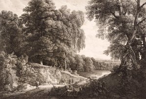 Paysage forestier