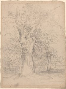 Un arbre ancien avec des figures dans un paysage - Friedrich Salathé