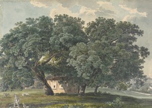Paysage italien avec arbres