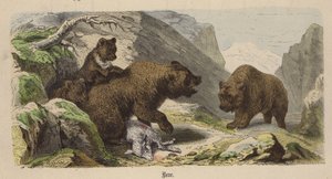 Ours