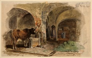 Étable avec vache