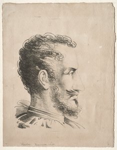 Profil de tête