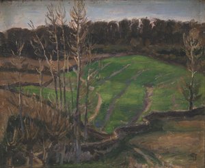 Paysage près de Svanninge avec des semis d