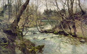Rivière