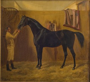 Comète noire