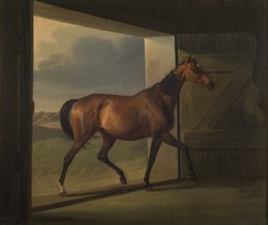 Jutta - Fritz Thomsen