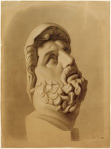 Détail de la tête du Laocoon