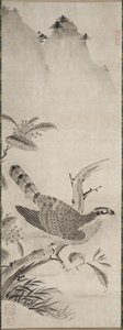 Faucon - Fujiwara Masayoshi