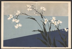 Shasei sôka môyô, Motifs de plantes et de fleurs d