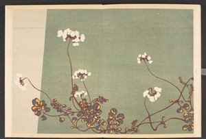 Shasei sôka môyô, Motifs de plantes et de fleurs de la vie - Furuya Korin