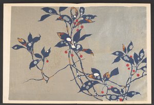 Shasei sôka môyô, Motifs de plantes et de fleurs de la vie - Furuya Korin