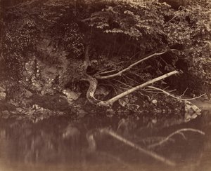 Bord de rivière dans la vallée de Neath, vers 1855 - G. B. Gething
