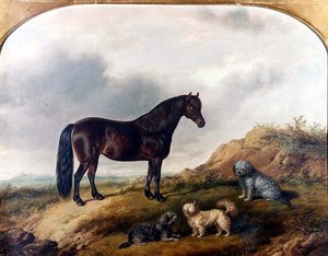 Un poney et trois terriers dans un paysage
