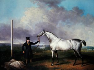 Gentleman tenant un cheval de course gris sur un parcours