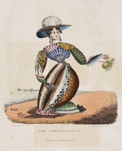 Le conchologiste, vers 1831