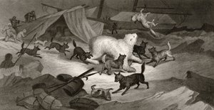 Chasse à l