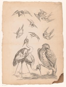 Dix oiseaux chinois, dont deux hérons et un martin-pêcheur - Gabriel Huquier (attributed to)