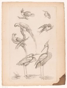 Sept oiseaux chinois, y compris des hérons et des perroquets - Gabriel Huquier (attributed to)
