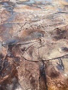  - Gabriela Aleksandra Szuba