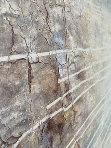  - Gabriela Aleksandra Szuba