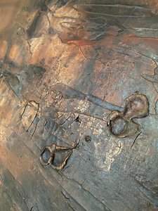  - Gabriela Aleksandra Szuba