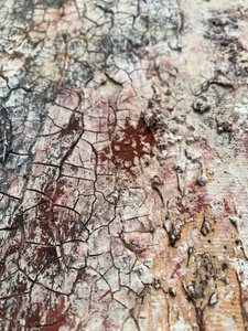  - Gabriela Aleksandra Szuba