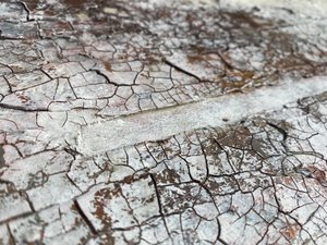  - Gabriela Aleksandra Szuba