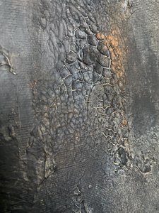  - Gabriela Aleksandra Szuba