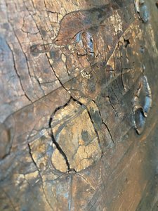  - Gabriela Aleksandra Szuba