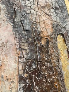  - Gabriela Aleksandra Szuba