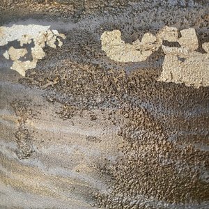  - Gabriela Aleksandra Szuba