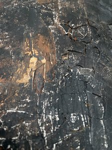  - Gabriela Aleksandra Szuba