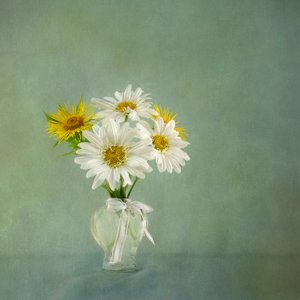  - Gaille Gray