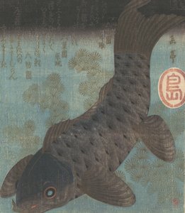 Carpes et pins - Gakutei