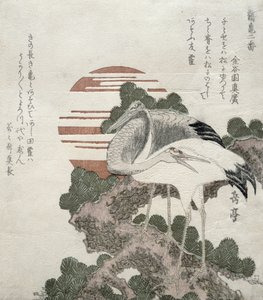 Grue (Tsuru) de la série 2 dessins de grues et tortues, 1818-30