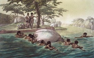 Tribus Gingri traversant la rivière Zebee, planche 67 de 