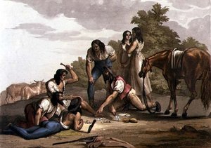 Bergers espagnols du Paraguay - Gallo Gallina