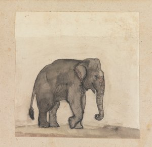 Éléphant - Gangaram Chintaman Tambat