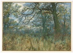 Arbres et sous-bois, 1885 - Garden William Fraser