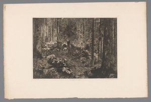 Paysage forestier (Les sapins du Doubs)