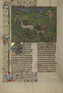 Livre de la chasse - Gaston Phébus