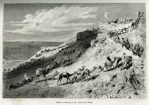 Akabah ou alignement de chameaux de la caravane. Gravure par G. Vuillier, pour illustrer l