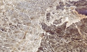 Motifs aquatiques dorés - Gemma Bardot