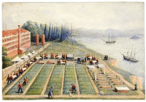 Le cimetière de l