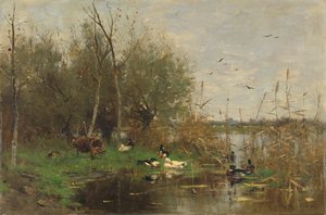 Canards à côté d
