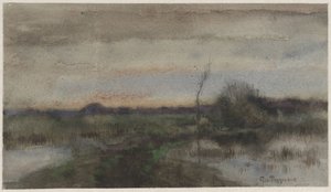 Paysage marécageux au coucher du soleil - Geo Poggenbeek