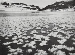 Suisse