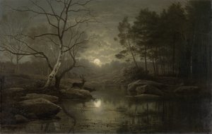 Paysage forestier au clair de lune