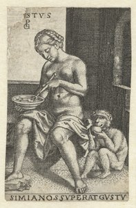 Smaak (Gustus) Gvstvs simia nos svperat gvstv (titre sur l